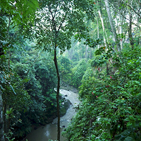 Photo de Bali - Balade, Garuda et spectacle